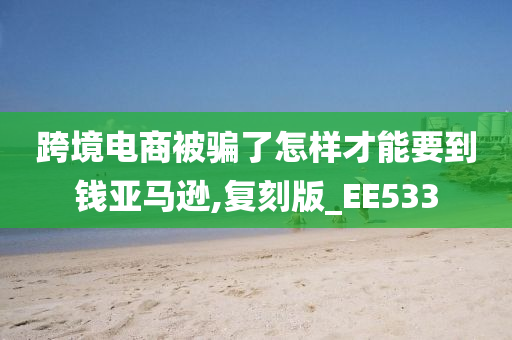 跨境电商被骗了怎样才能要到钱亚马逊,复刻版_EE533