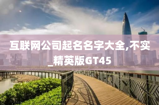 互联网公司起名名字大全,不实_精英版GT45