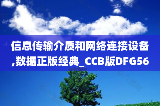 信息传输介质和网络连接设备,数据正版经典_CCB版DFG56