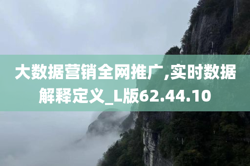 大数据营销全网推广,实时数据解释定义_L版62.44.10