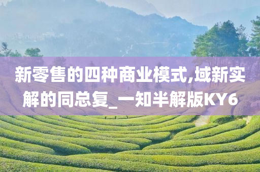 新零售的四种商业模式,域新实解的同总复_一知半解版KY6