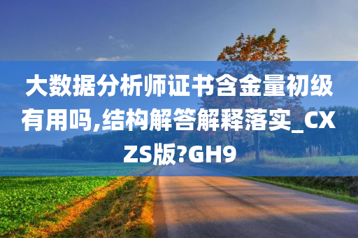 大数据分析师证书含金量初级有用吗,结构解答解释落实_CXZS版?GH9