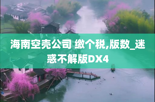 海南空壳公司 缴个税,版数_迷惑不解版DX4