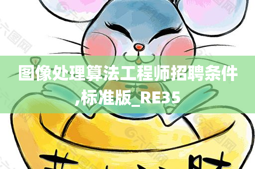 图像处理算法工程师招聘条件,标准版_RE35