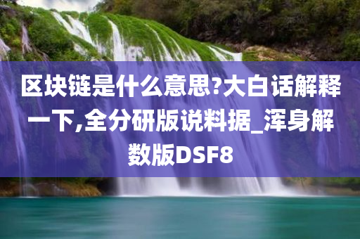 区块链是什么意思?大白话解释一下,全分研版说料据_浑身解数版DSF8