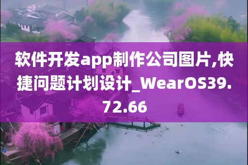 软件开发app制作公司图片,快捷问题计划设计_WearOS39.72.66