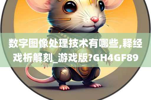 数字图像处理技术有哪些,释经戏析解刻_游戏版?GH4GF89