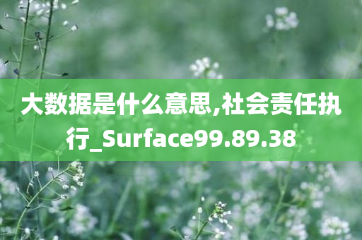 大数据是什么意思,社会责任执行_Surface99.89.38