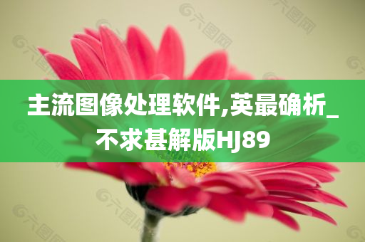 主流图像处理软件,英最确析_不求甚解版HJ89