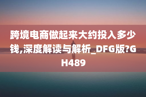 跨境电商做起来大约投入多少钱,深度解读与解析_DFG版?GH489