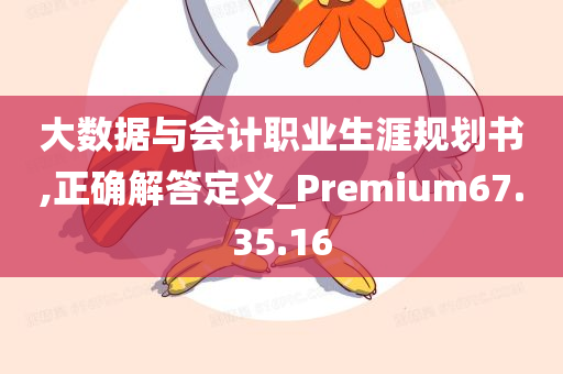 大数据与会计职业生涯规划书,正确解答定义_Premium67.35.16