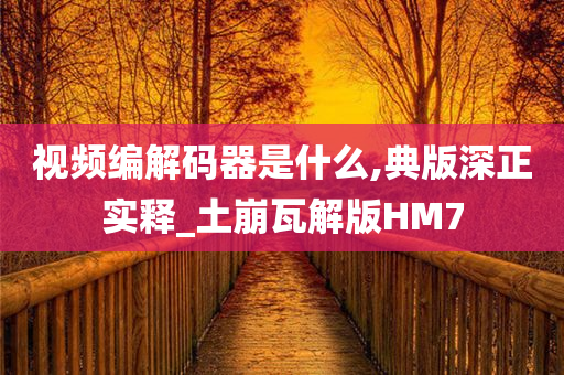 视频编解码器是什么,典版深正实释_土崩瓦解版HM7