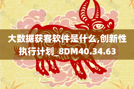 大数据获客软件是什么,创新性执行计划_8DM40.34.63