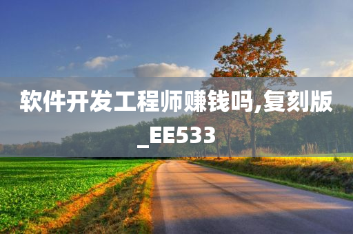 软件开发工程师赚钱吗,复刻版_EE533