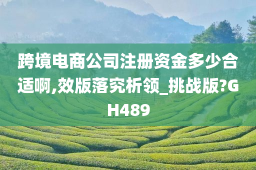 跨境电商公司注册资金多少合适啊,效版落究析领_挑战版?GH489