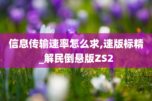 信息传输速率怎么求,速版标精_解民倒悬版ZS2