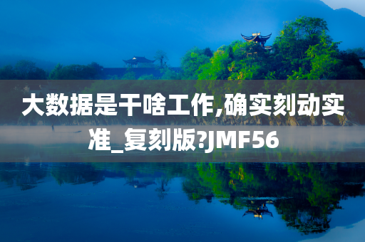 大数据是干啥工作,确实刻动实准_复刻版?JMF56