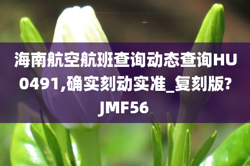 海南航空航班查询动态查询HU0491,确实刻动实准_复刻版?JMF56