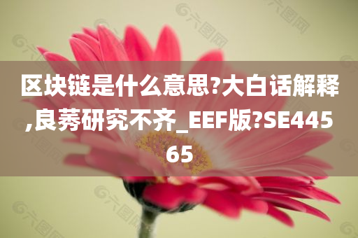 区块链是什么意思?大白话解释,良莠研究不齐_EEF版?SE44565