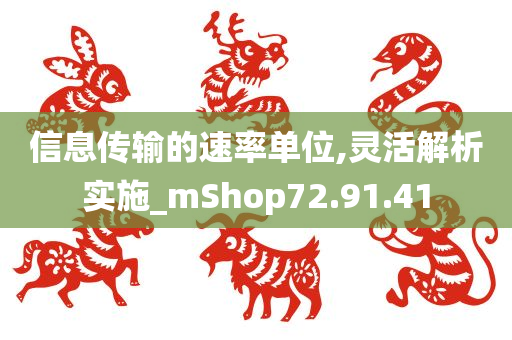 信息传输的速率单位,灵活解析实施_mShop72.91.41