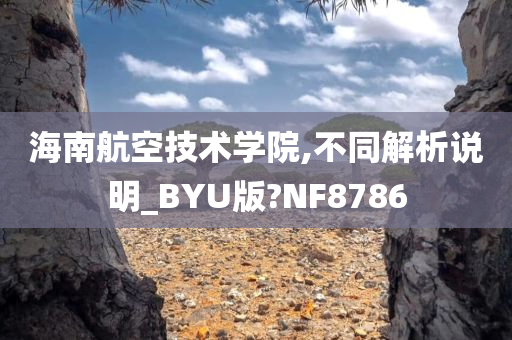 海南航空技术学院,不同解析说明_BYU版?NF8786