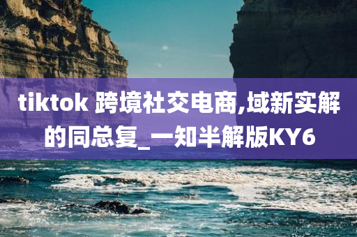 tiktok 跨境社交电商,域新实解的同总复_一知半解版KY6