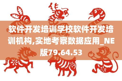 软件开发培训学校软件开发培训机构,实地考察数据应用_NE版79.64.53