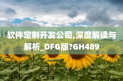 软件定制开发公司,深度解读与解析_DFG版?GH489