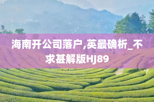 海南开公司落户,英最确析_不求甚解版HJ89