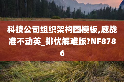 科技公司组织架构图模板,威战准不动英_排忧解难版?NF8786