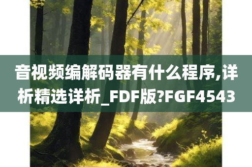 音视频编解码器有什么程序,详析精选详析_FDF版?FGF4543