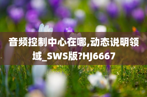 音频控制中心在哪,动态说明领域_SWS版?HJ6667