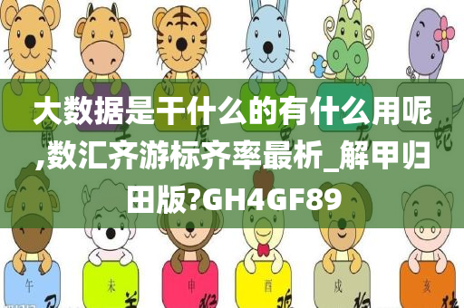 大数据是干什么的有什么用呢,数汇齐游标齐率最析_解甲归田版?GH4GF89