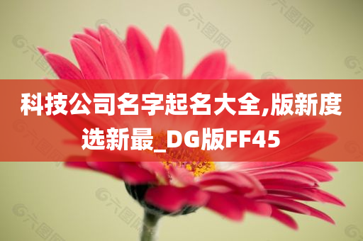 科技公司名字起名大全,版新度选新最_DG版FF45