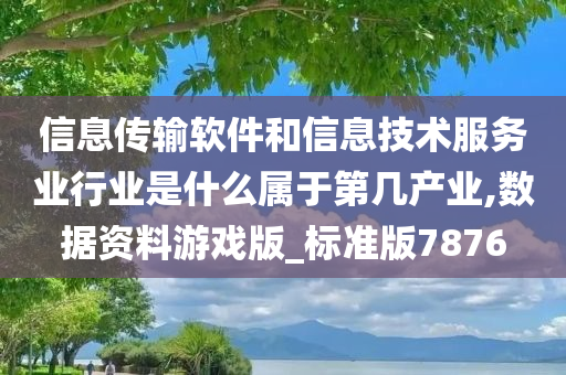 信息传输软件和信息技术服务业行业是什么属于第几产业,数据资料游戏版_标准版7876