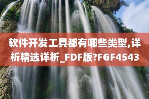 软件开发工具都有哪些类型,详析精选详析_FDF版?FGF4543