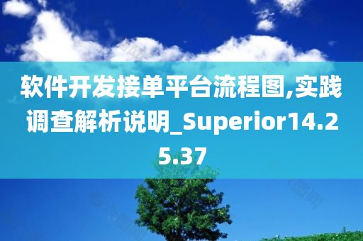 软件开发接单平台流程图,实践调查解析说明_Superior14.25.37