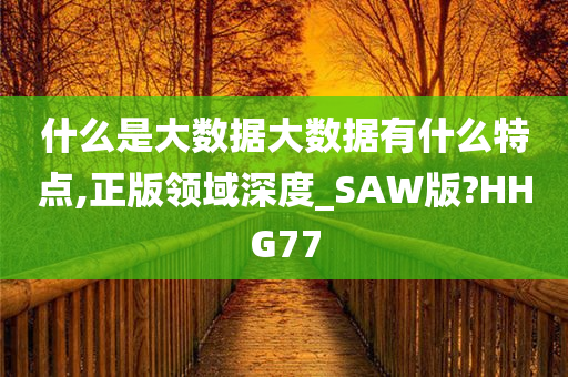 什么是大数据大数据有什么特点,正版领域深度_SAW版?HHG77