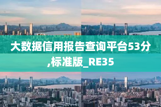 大数据信用报告查询平台53分,标准版_RE35