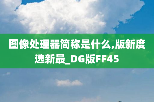 图像处理器简称是什么,版新度选新最_DG版FF45