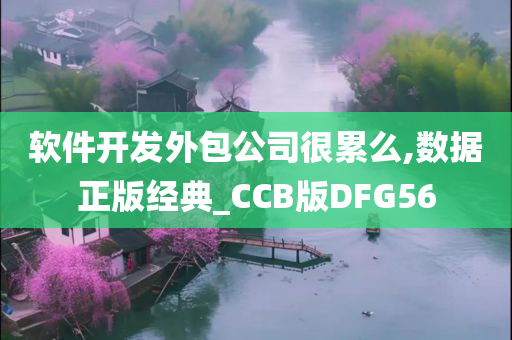 软件开发外包公司很累么,数据正版经典_CCB版DFG56