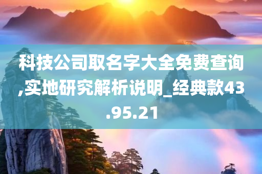 科技公司取名字大全免费查询,实地研究解析说明_经典款43.95.21