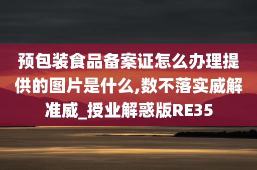 预包装食品备案证怎么办理提供的图片是什么,数不落实威解准威_授业解惑版RE35