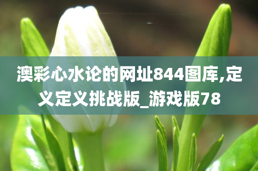 澳彩心水论的网址844图库,定义定义挑战版_游戏版78