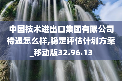 中国技术进出口集团有限公司待遇怎么样,稳定评估计划方案_移动版32.96.13