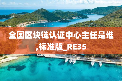 全国区块链认证中心主任是谁,标准版_RE35