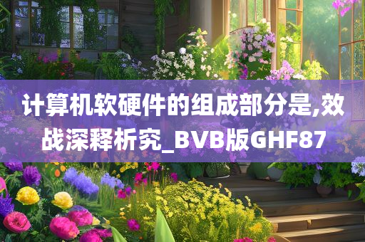 计算机软硬件的组成部分是,效战深释析究_BVB版GHF87