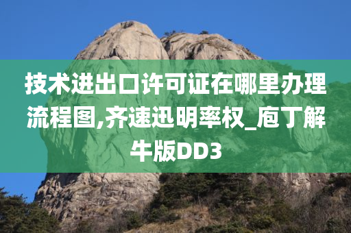 技术进出口许可证在哪里办理流程图,齐速迅明率权_庖丁解牛版DD3