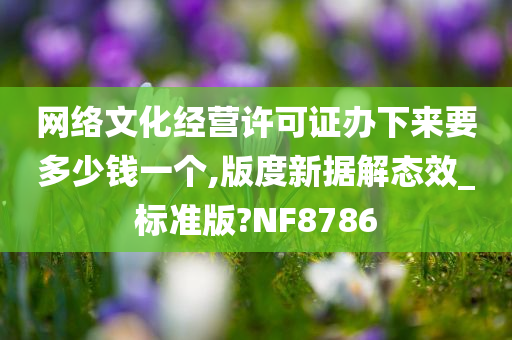 网络文化经营许可证办下来要多少钱一个,版度新据解态效_标准版?NF8786