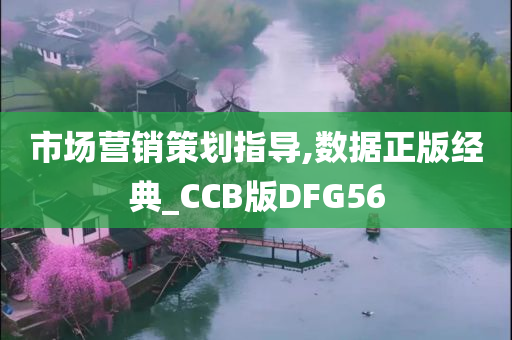 市场营销策划指导,数据正版经典_CCB版DFG56